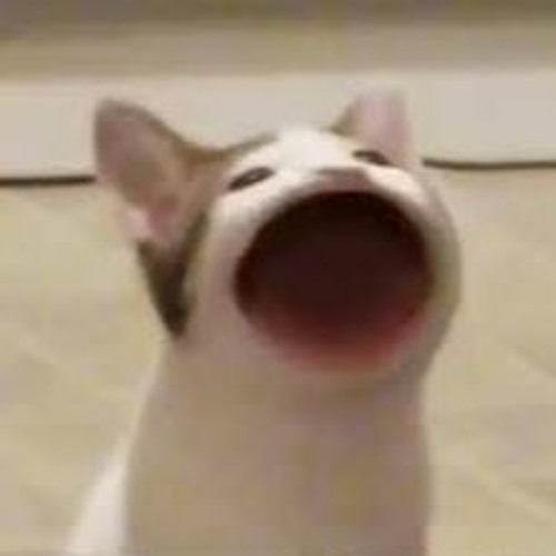 Photo de profil de winux